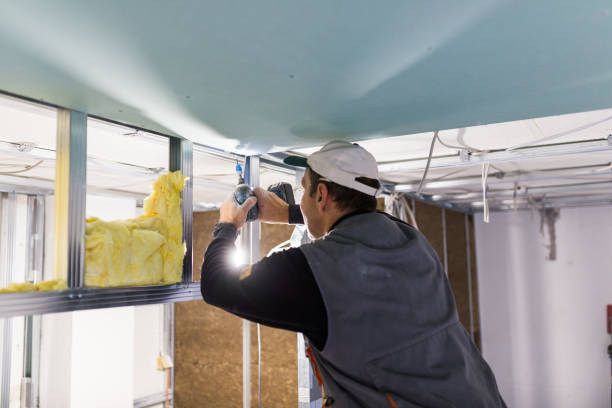 Best Wall Insulation Contractor  in Springdale, SC