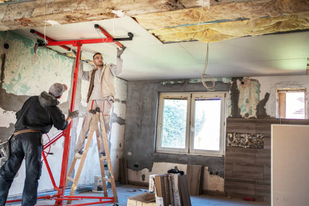 Best Insulation Repair Services  in Springdale, SC