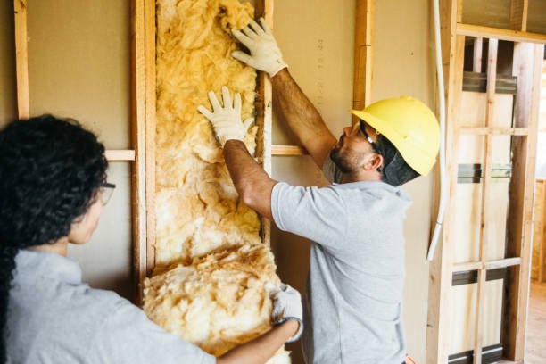 Best Insulation Repair Services  in Springdale, SC